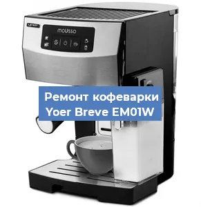 Замена термостата на кофемашине Yoer Breve EM01W в Екатеринбурге